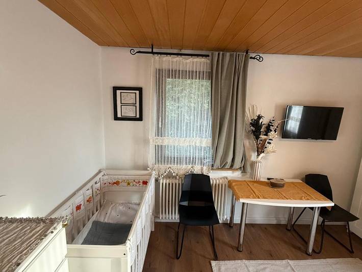 Ferienwohnung für 7 Personen, mit Garten und Ausblick in Waldshut-Tiengen - 3