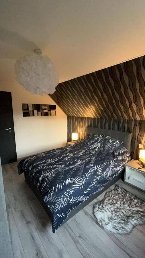 Location de vacances pour 8 personnes, avec jardin ainsi que sauna et vue, animaux acceptés dans Sarreguemines - 4