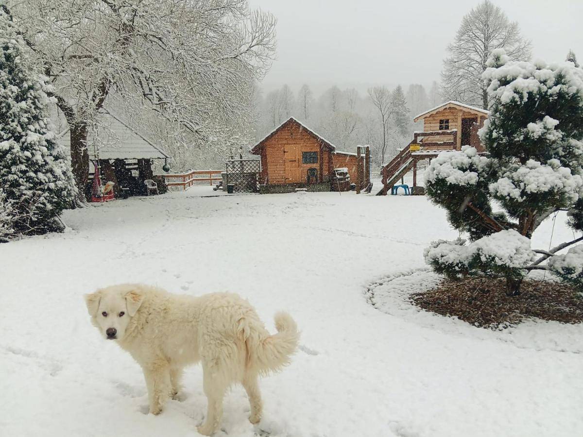 U Małgorzaty in Karpaty (Polska)
