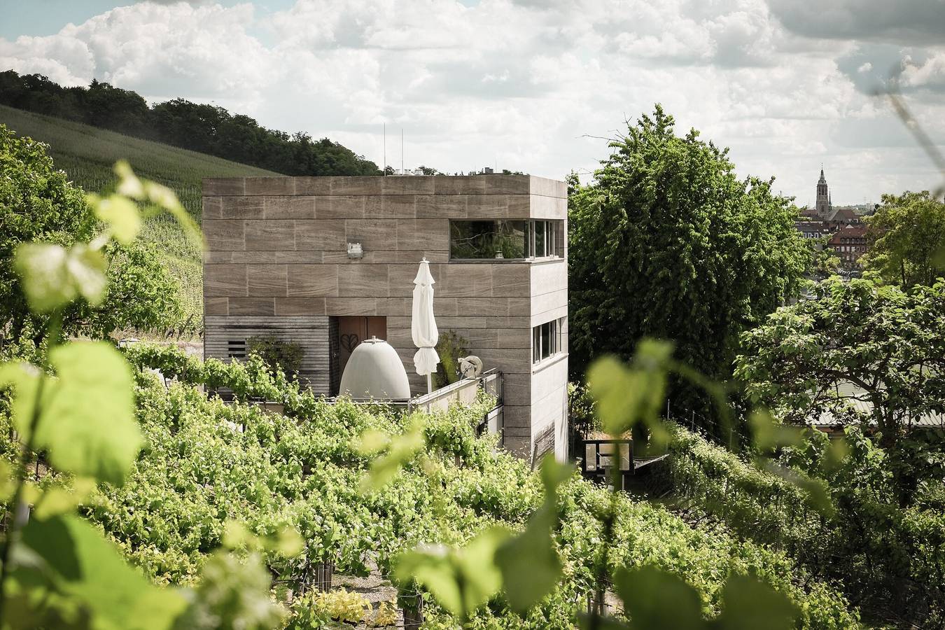 Accogliente pensione nella "Weingut am Stein" con terrazza e vista sui vigneti in Wurzburg, Regione vinicola della Franconia