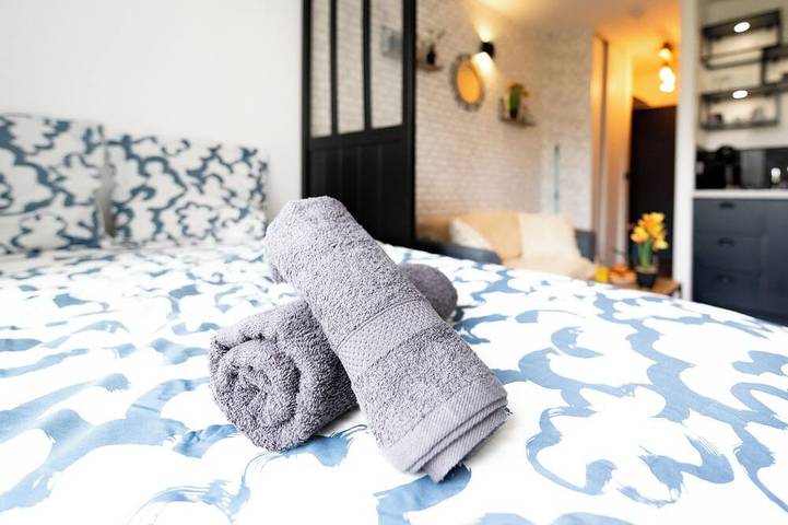 Ganze Wohnung, Cosy, pleasant studio just a stone's throw from Paris in Saint-Denis, Seine-Saint-Denis
