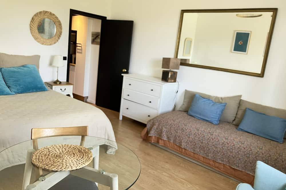 Appartement entier, Studio 300 m de la plage du golf et du centre ville de Biarritz. Calme et clair in Le Phare (Biarritz), Biarritz