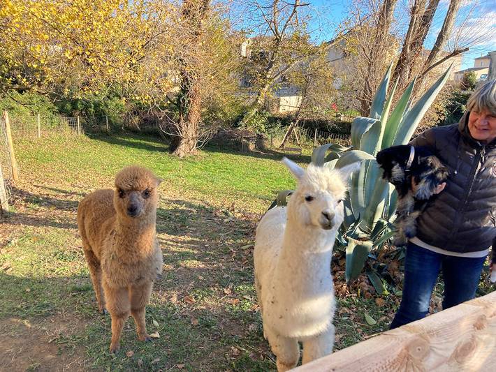 Chambre d’hôte pour 2 personnes, avec piscine et jardin, animaux acceptés dans le Gard - 2