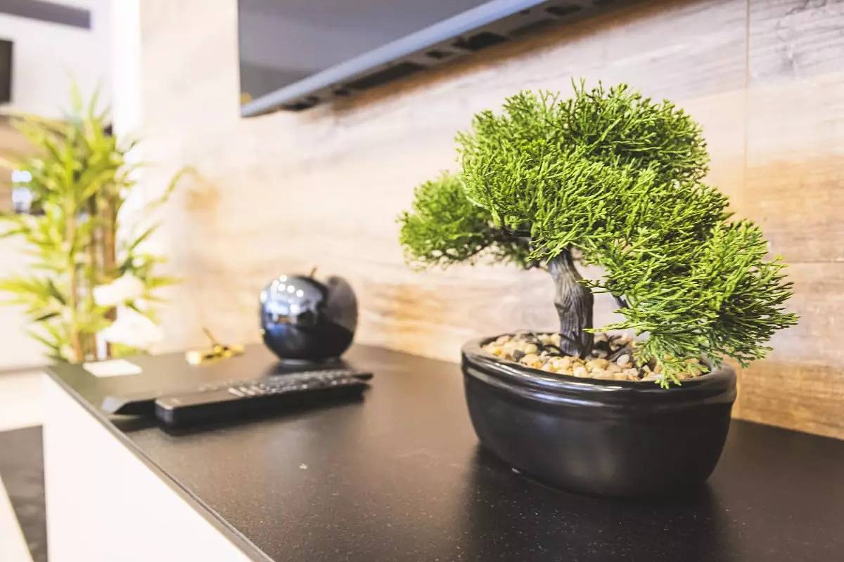 Ganze Wohnung, Appartements pour 8 Personnes in Orbey, Regionaler Naturpark Belchen der Vogesen