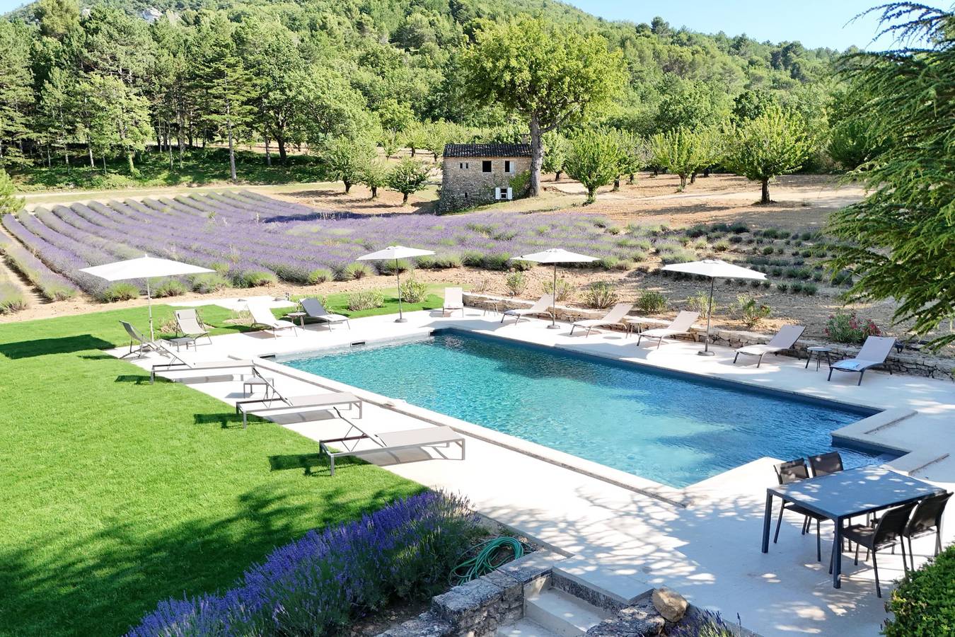 Bastide de l'Esclat - Pool - lavender fields in Apt, Parc naturel régional du Luberon