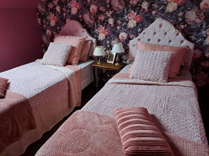 Chambre d’hôte pour 2 personnes, avec vue ainsi que terrasse et jardin dans Sarrebourg - 4