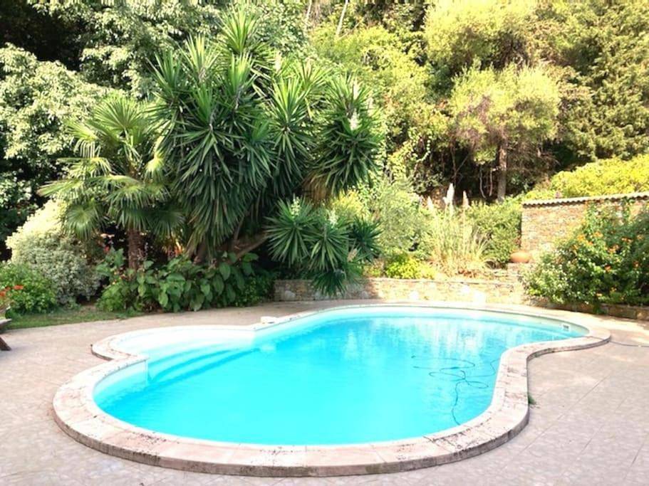 Casa Galli- Belle villa coeur de ville avc piscine in Bastia, Cap Corse
