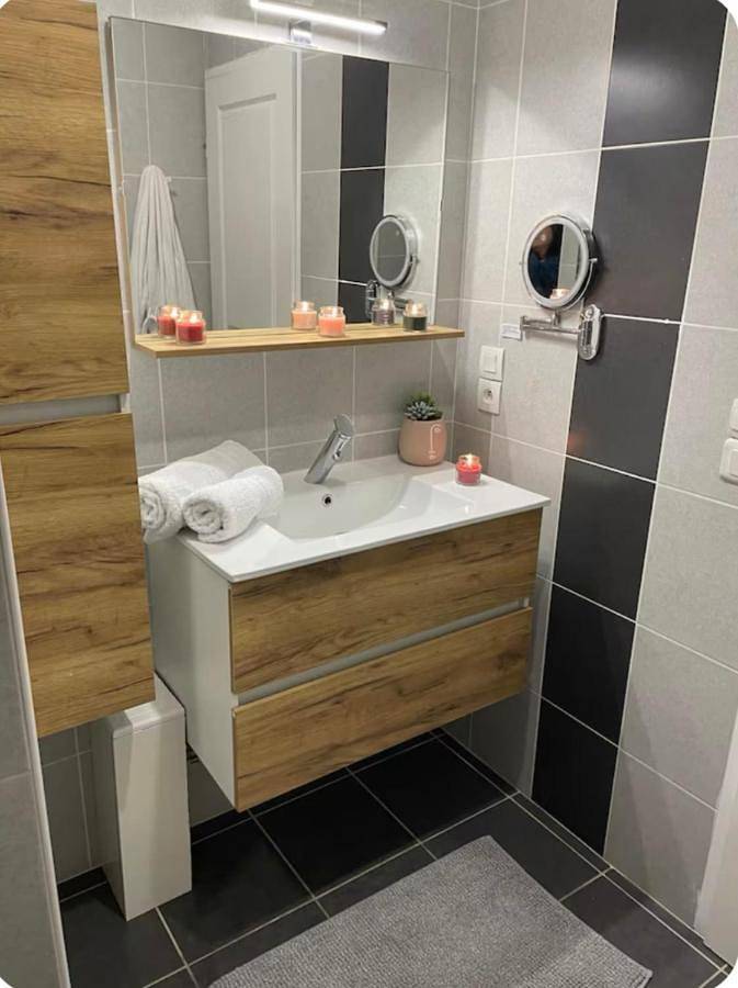 Appartement entier, Spacieux appartement idéal séjour pro famille in Veauche, Montbrison
