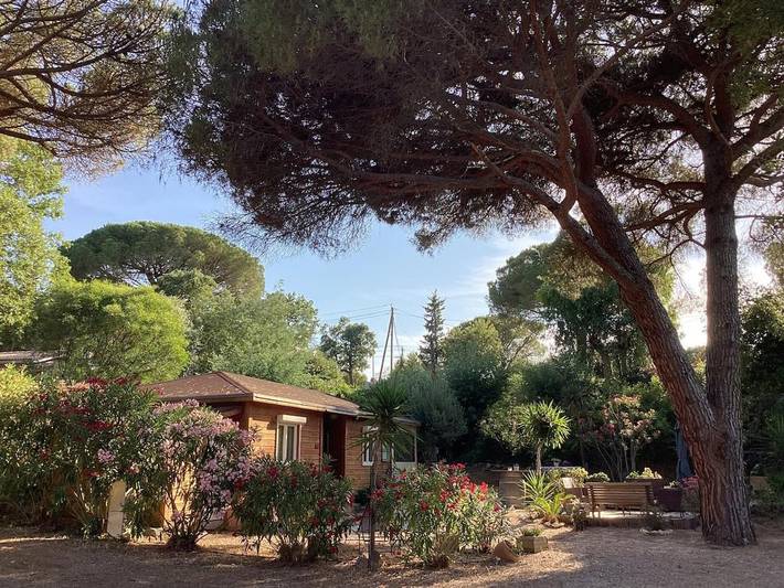 Chalet pour 6 personnes, avec Terrasse et Jardin ainsi que Piscine et Vue à Gassin - 3