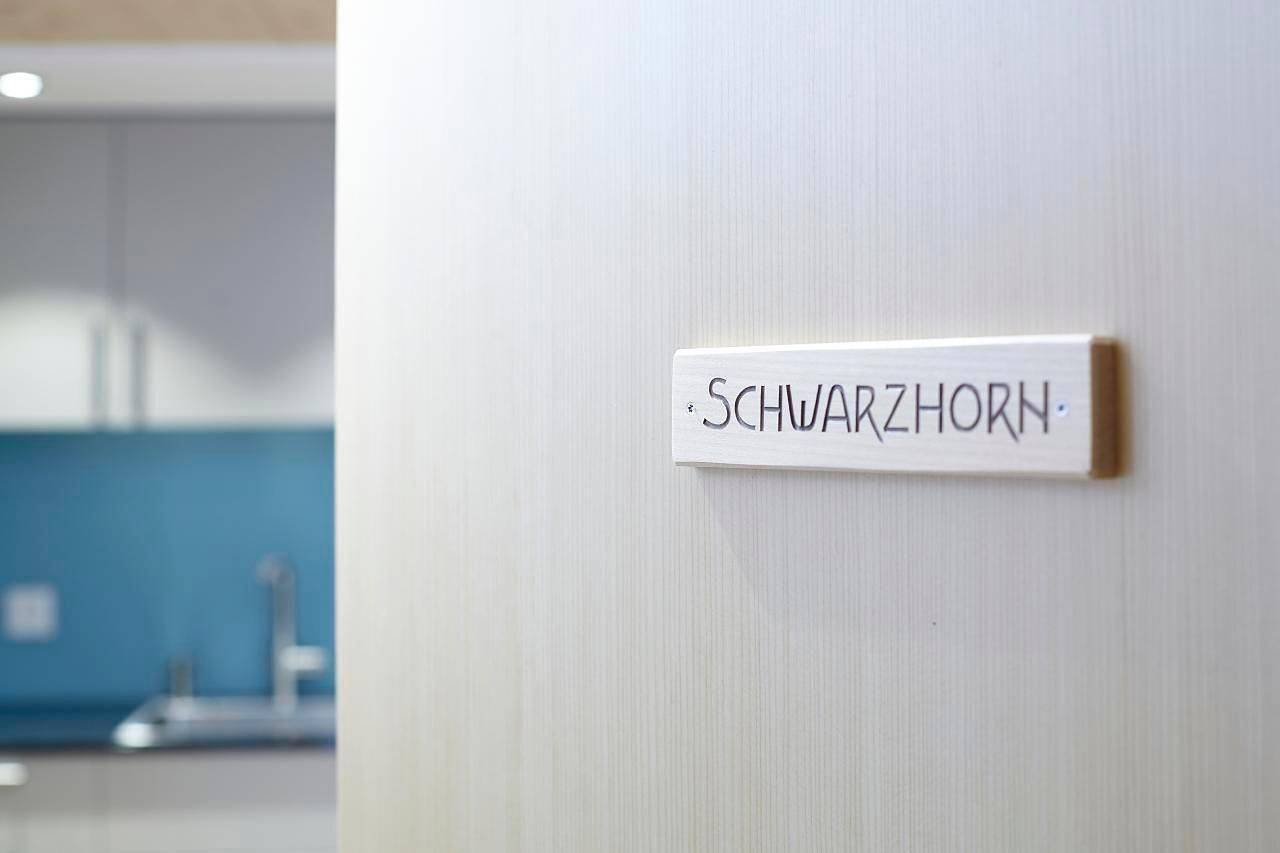 Ganze Ferienwohnung, Ferienwohnung "Schwarzhorn" mit Bergblick in Brienzwiler, Berner Oberland
