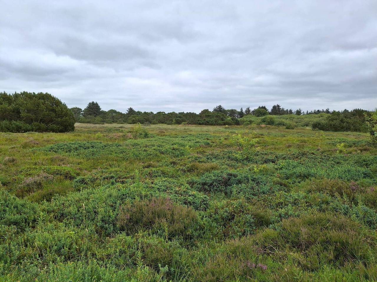 Idyllisches danisches Bauernhaus-Ruckzug in Hemmet, Ringkøbing-Skjern