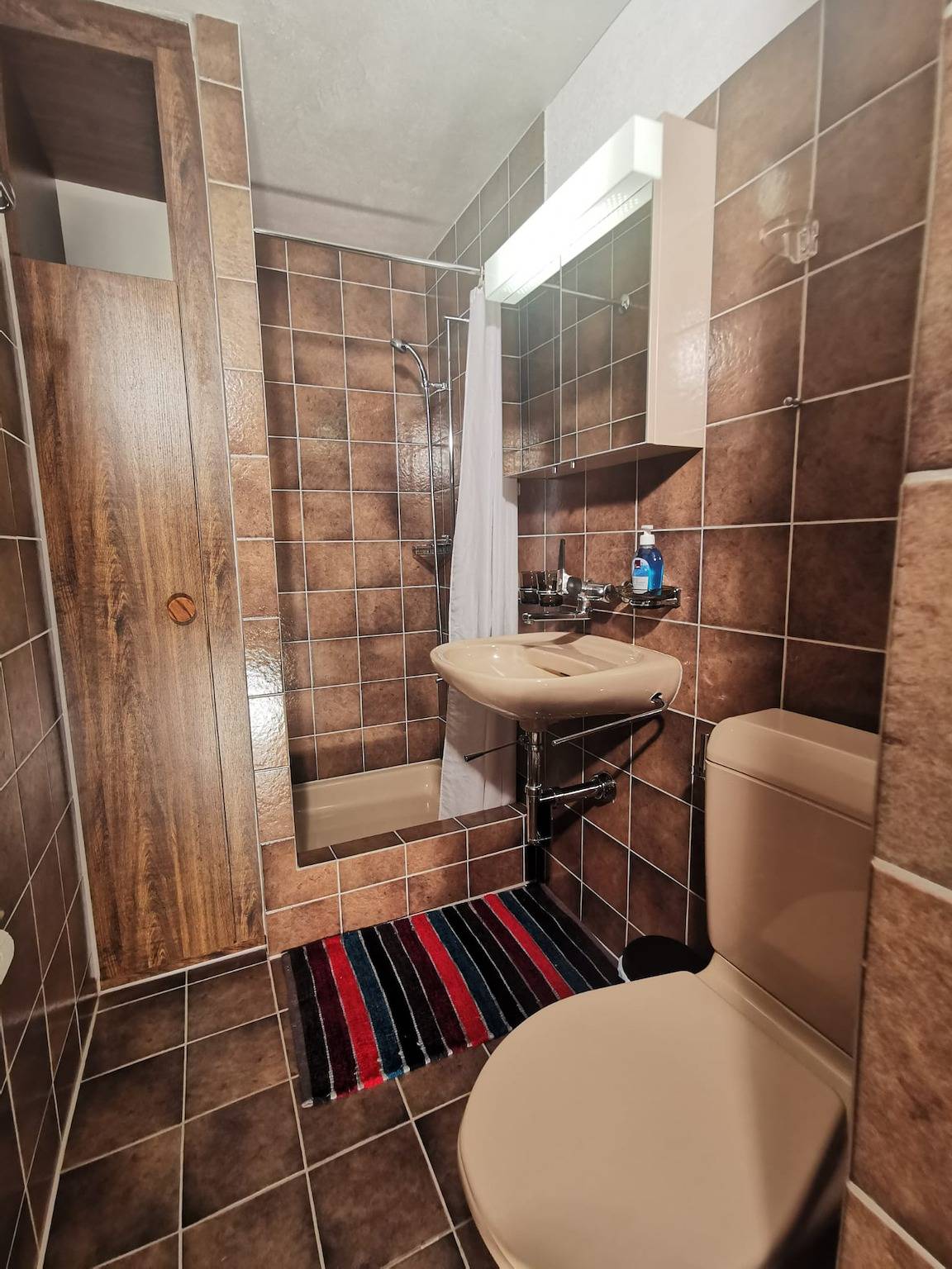 Ganze Ferienwohnung, Ferienwohnung Alpablüamli - 1.5 Zimmerwohnung für max. 3 Personen, 28qm in Luzein, Plessur Alpen