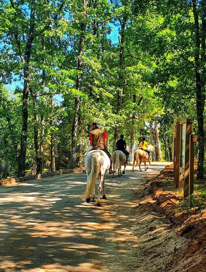 Parque Biologico de Vinhais in Montesinho