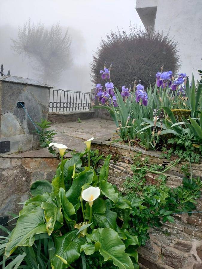 Casa rural para 4 personas, con Jardín en Saviñao - 3