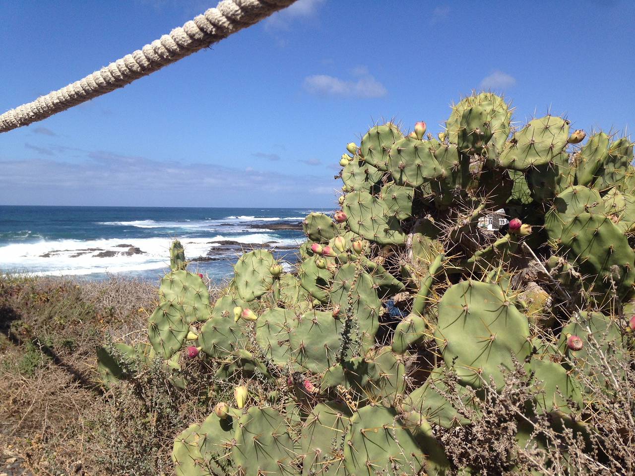 Entire apartment, La Piedra Apartment in Palm Garden Directly on the Beach & Sea in El Cotillo, La Oliva