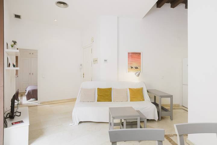 Apartamento entero, Apartamento 'Sevilla Centro Con Piscina' con piscina compartida, Wi-Fi y aire acondicionado. in Casco Antiguo, Sevilla