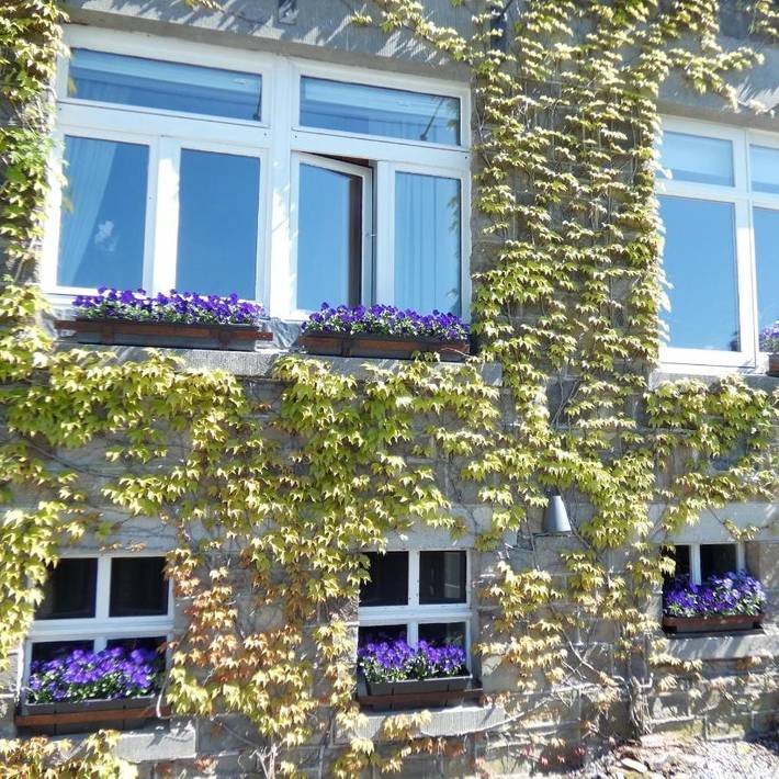 Location de vacances pour 4 personnes, avec jardin et vue dans Bomal - 3