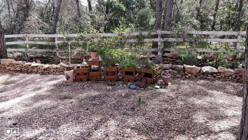 Villa pour 6 personnes, avec vue et jardin dans Formentera - 4