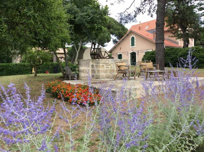 Maison d’hôte pour 2 personnes, avec vue et jardin à Aigues-Mortes - 2