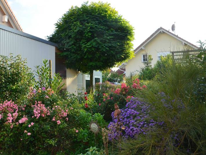 Ferienwohnung für 4 Personen, mit Garten und Balkon, kinderfreundlich in Markdorf - 2