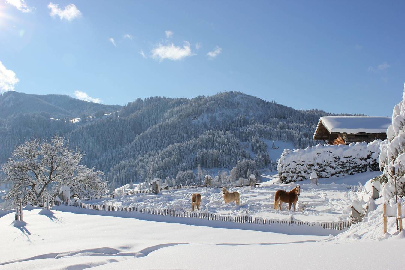 Seeblick, foto 10