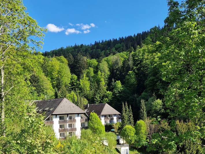 Ferienwohnung für 4 Personen, mit Balkon/Terrasse und Terrasse sowie Garten in Triberg - 2