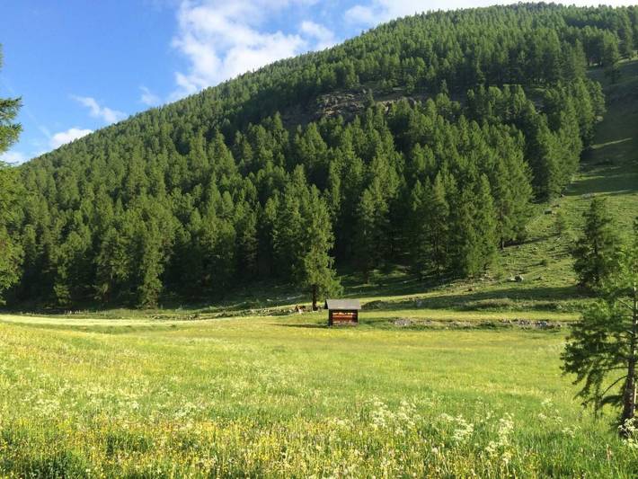 Chalet für 4 Personen, mit Garten im Engadin - 3