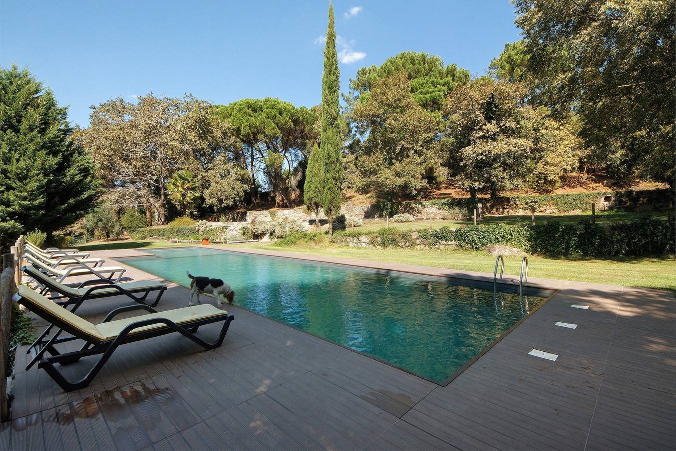 Casa de Vacaciones 'Casa De Andrães Pomar' con Piscina Compartida, Terraza Privada y Wi-Fi in Santo Isidoro e Livração, Distrito de Porto