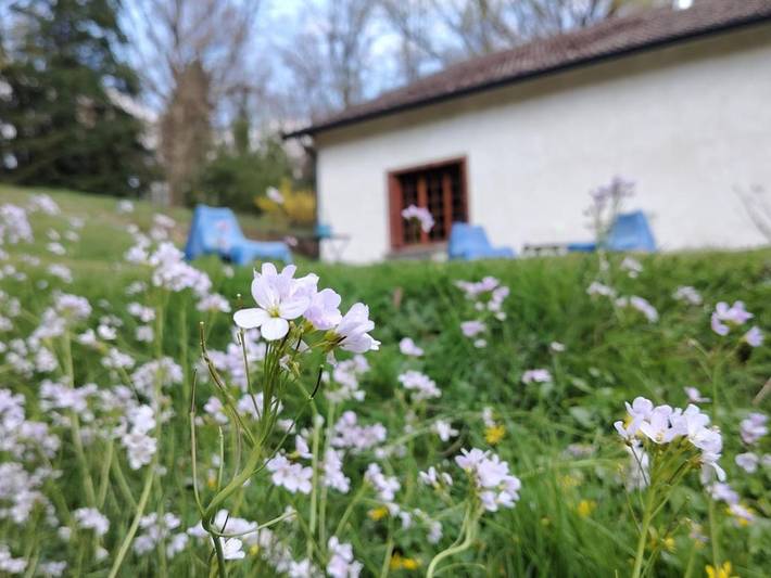 Location de vacances pour 2 personnes, avec Terrasse ainsi que Jardin et Vue à Gien - 3