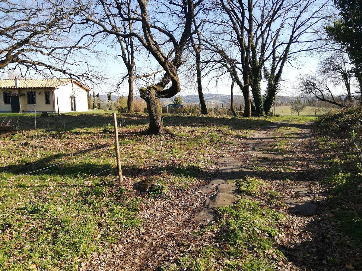 Appartamento intero, Agriturismo Podere Bianca Maria in Lago di Bracciano