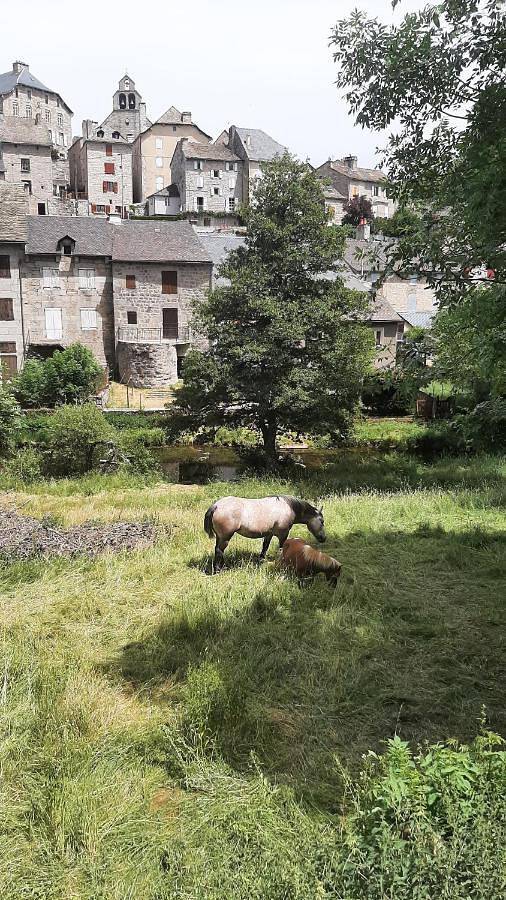Appartement de vacances pour 12 personnes, avec vue et balcon, animaux acceptés