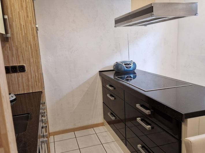 Ferienwohnung für 4 Personen, mit Terrasse und Garten in Neustadt an der Weinstraße - 3