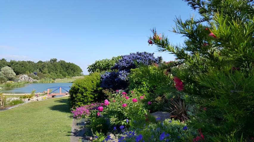 Chambre d’hôte pour 2 personnes, avec jardin en Charente-Maritime - 2