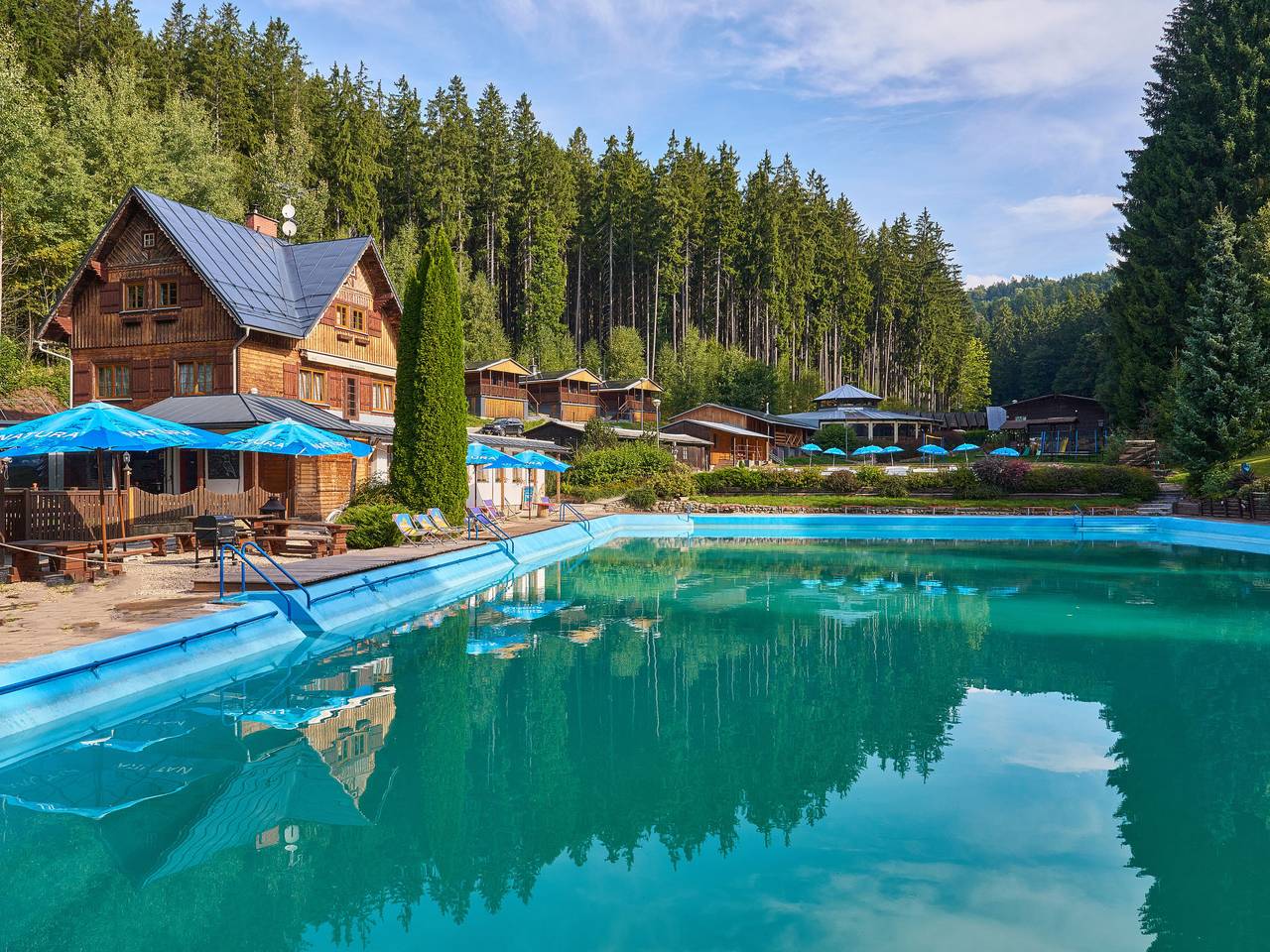 Luxe Timber Lodge & Pet Retreat in Mladé Buky, Trautenau regio