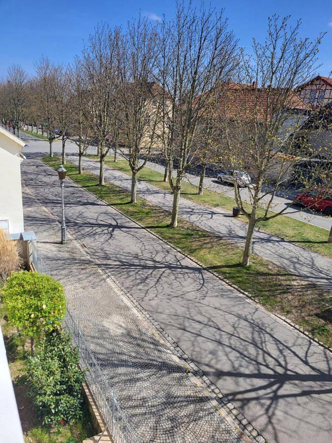 Ganze Wohnung, Alleeblick in Ballenstedt, Harzvorland