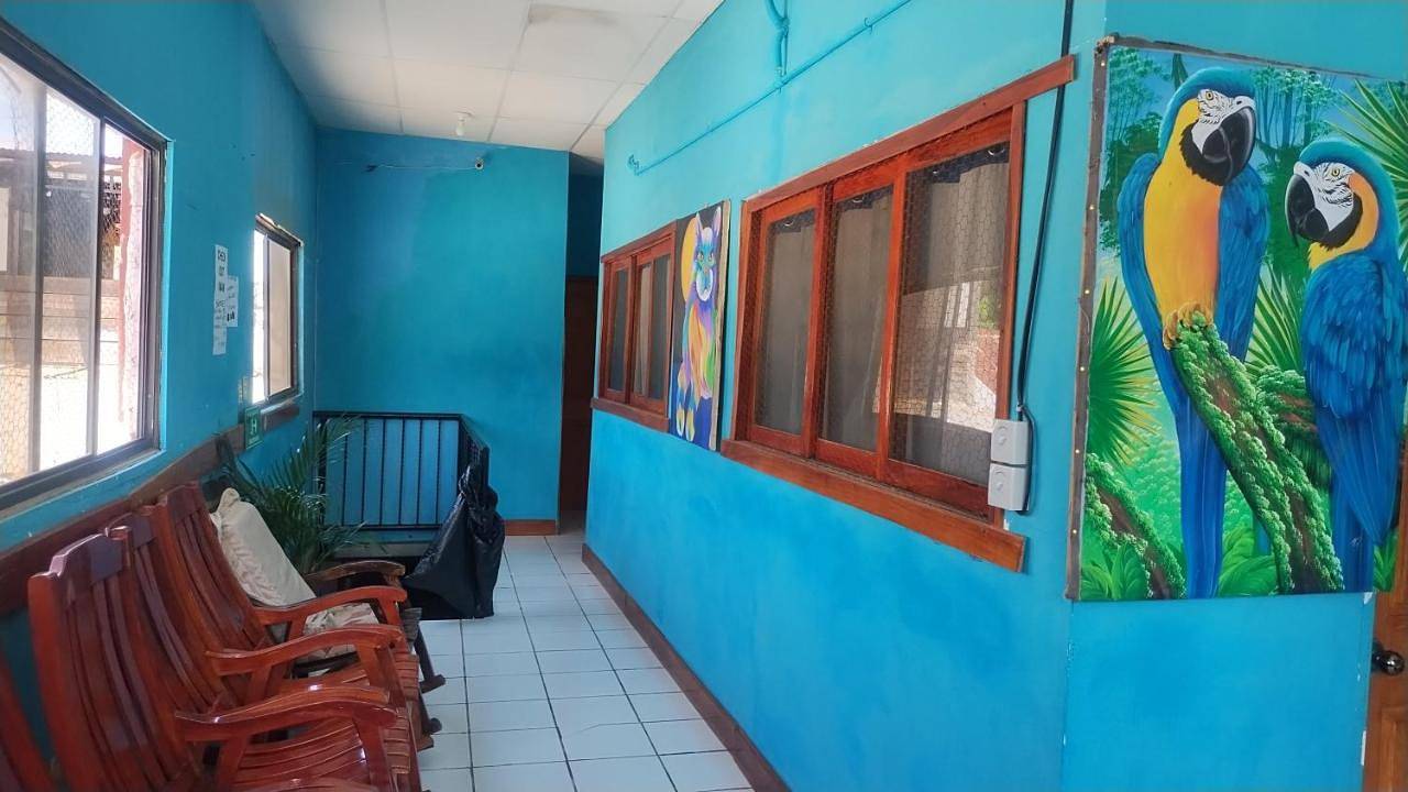 Hostal Javier's House sjs in San Juan del Sur