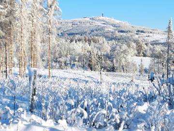 BnB für 2 Personen, mit Garten und Ausblick sowie Balkon in Braunlage