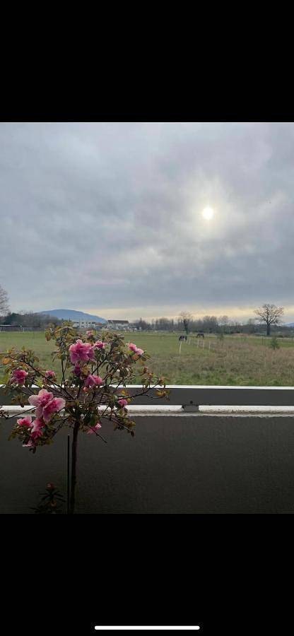 Gîte pour 2 personnes, avec balcon et vue, animaux acceptés à Veigy-Foncenex
