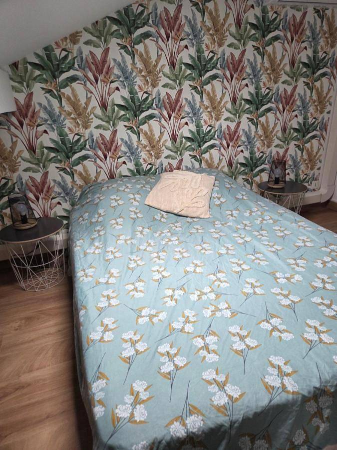 Gîte pour 6 personnes, avec jardin et piscine ainsi que sauna et jacuzzi à Crémieu - 2