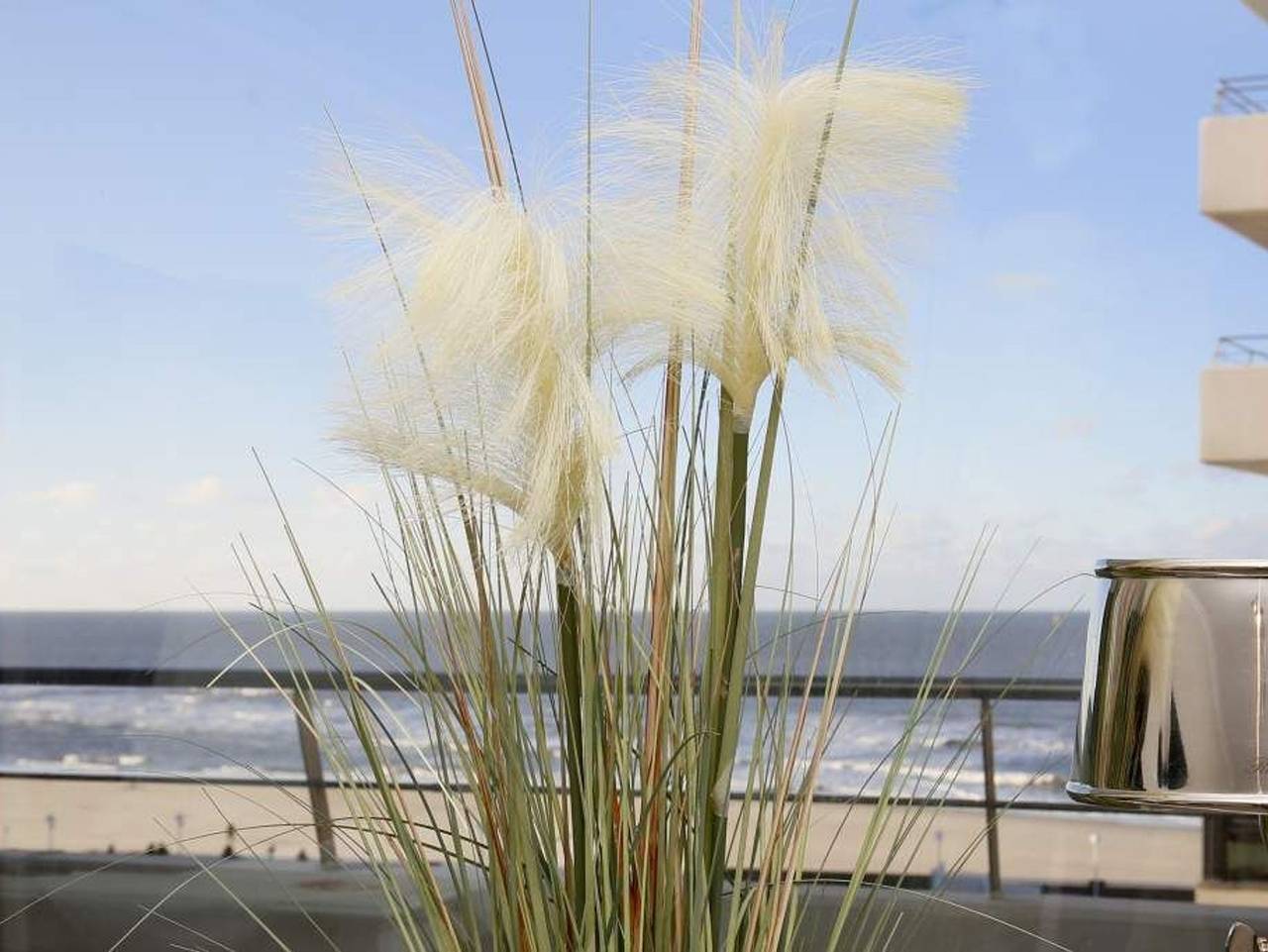 Ganze Ferienwohnung, Haus am Meer, App 73 - Haus am Meer, App 73 in Westerland, Sylt (Gemeinde)