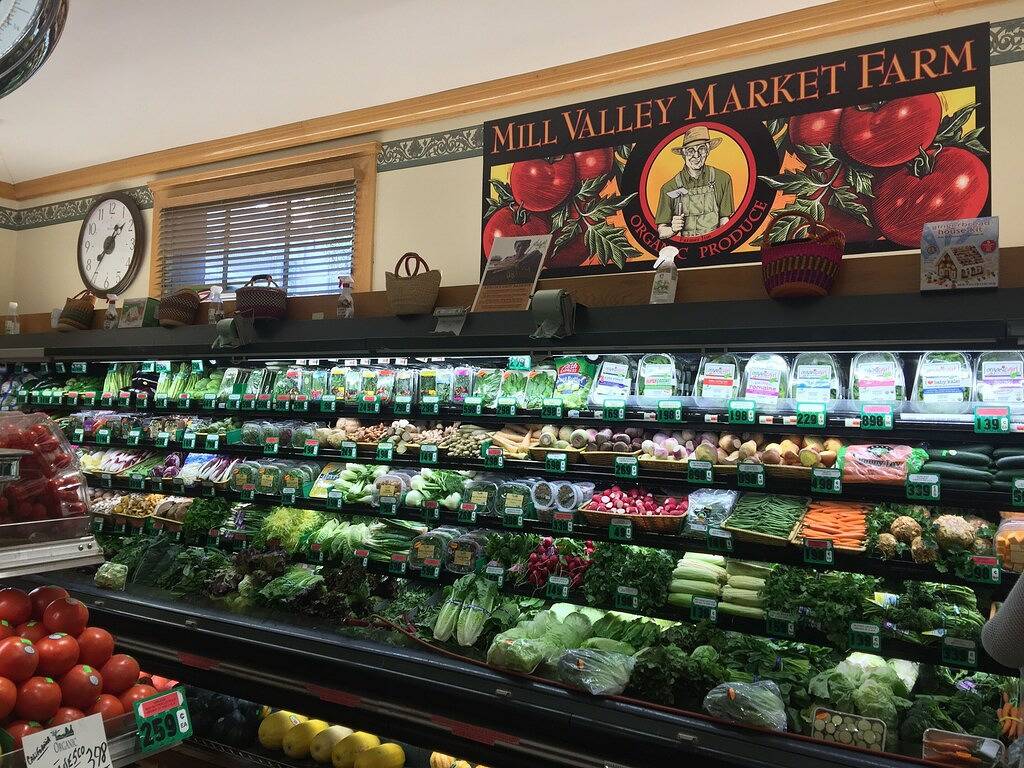 Ganze Wohnung, Mill Valley Hot Spot im Zentrum der Stadt in Mill Valley, California North Coast