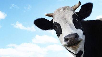 Ferienhaus für 6 Personen in Stadland, Wesermarsch, Bild 2