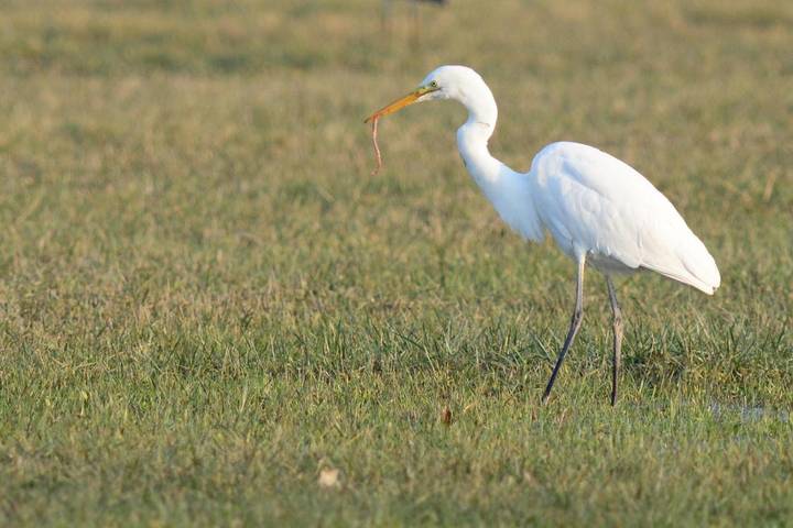Location de vacances pour 4 personnes à Le Chesne - 2