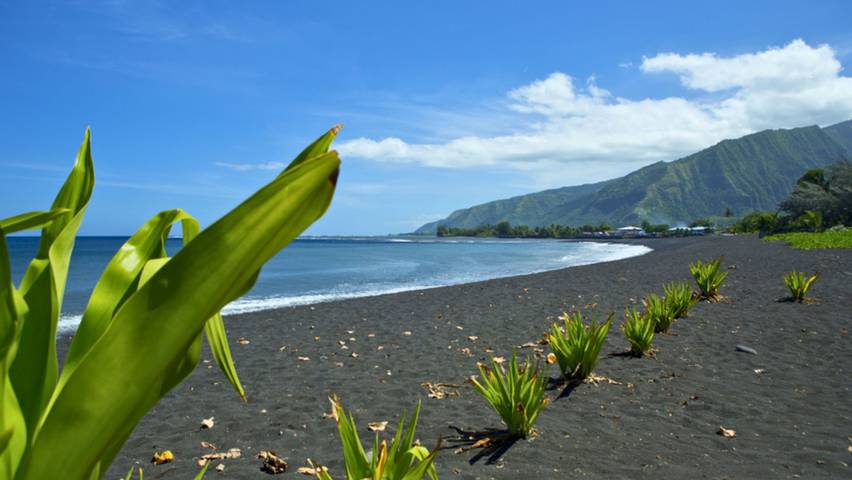Location de vacances pour 6 personnes, avec balcon et jardin dans Tahiti - 2
