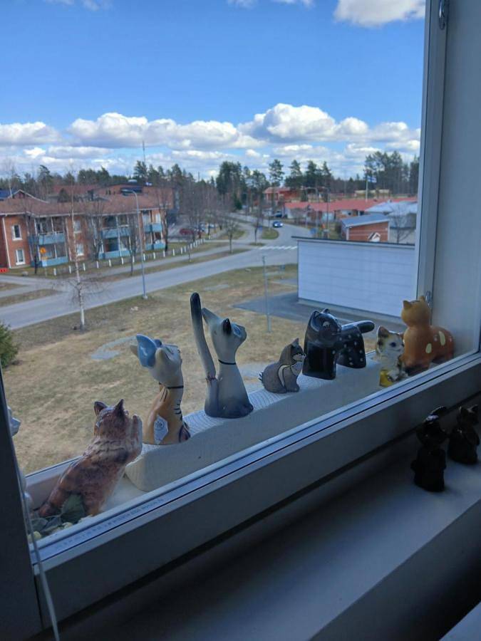 Ganze Wohnung, Rauhallinen huoneisto Joensuun lähellä in Nordkarelien