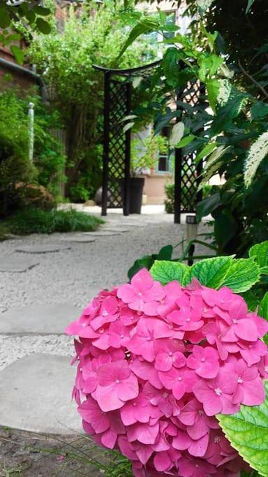 Gîte pour 4 personnes, avec terrasse à Beaumont-de-Lomagne - 2