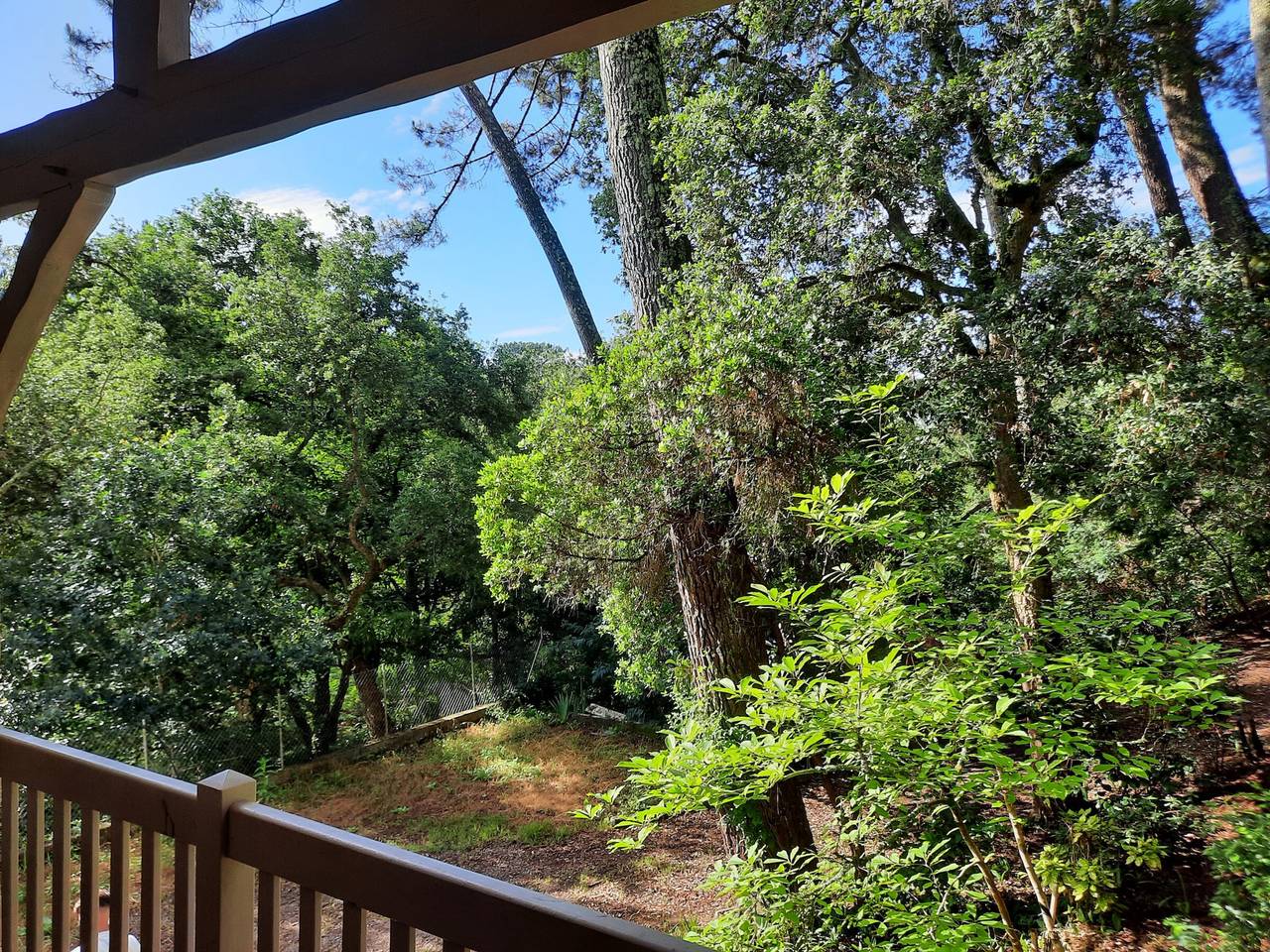 Maison spacieuse proche du lac d'Hossegor avec jardin, terrasse ensoleillée et studio indépendant in Lac d'Hossegor, Hossegor
