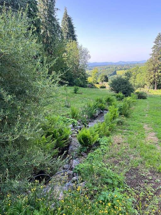 Ferienhaus für 12 Personen, mit Balkon und Terrasse sowie Garten und Ausblick in Rickenbach - 3