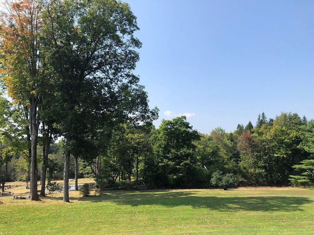 Charming 1870 cape cottage in Litchfield in Litchfield County