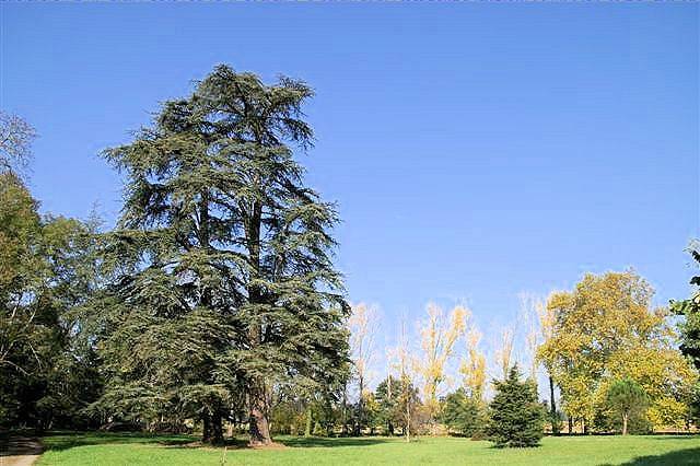 Domaine de Lalande - Suite familiale in Vénès, Région de Castres